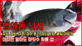 [마탄자TV] 벵에돔 낚시 마릿수 확률 높이는 꿀팁 대공개!!!