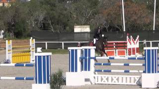 Questfinder, 8y old gelding by Quintender X Landstreicher in Vilamoura, 1.week