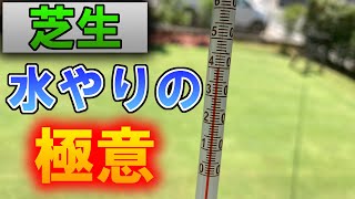 【芝生】水やりの極意