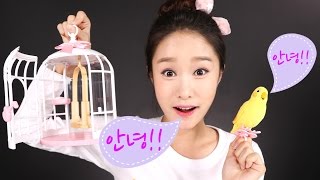 따라쟁이 앵무 장난감 캐리의 말하는 애완동물 인형 놀이 CarrieAndToys