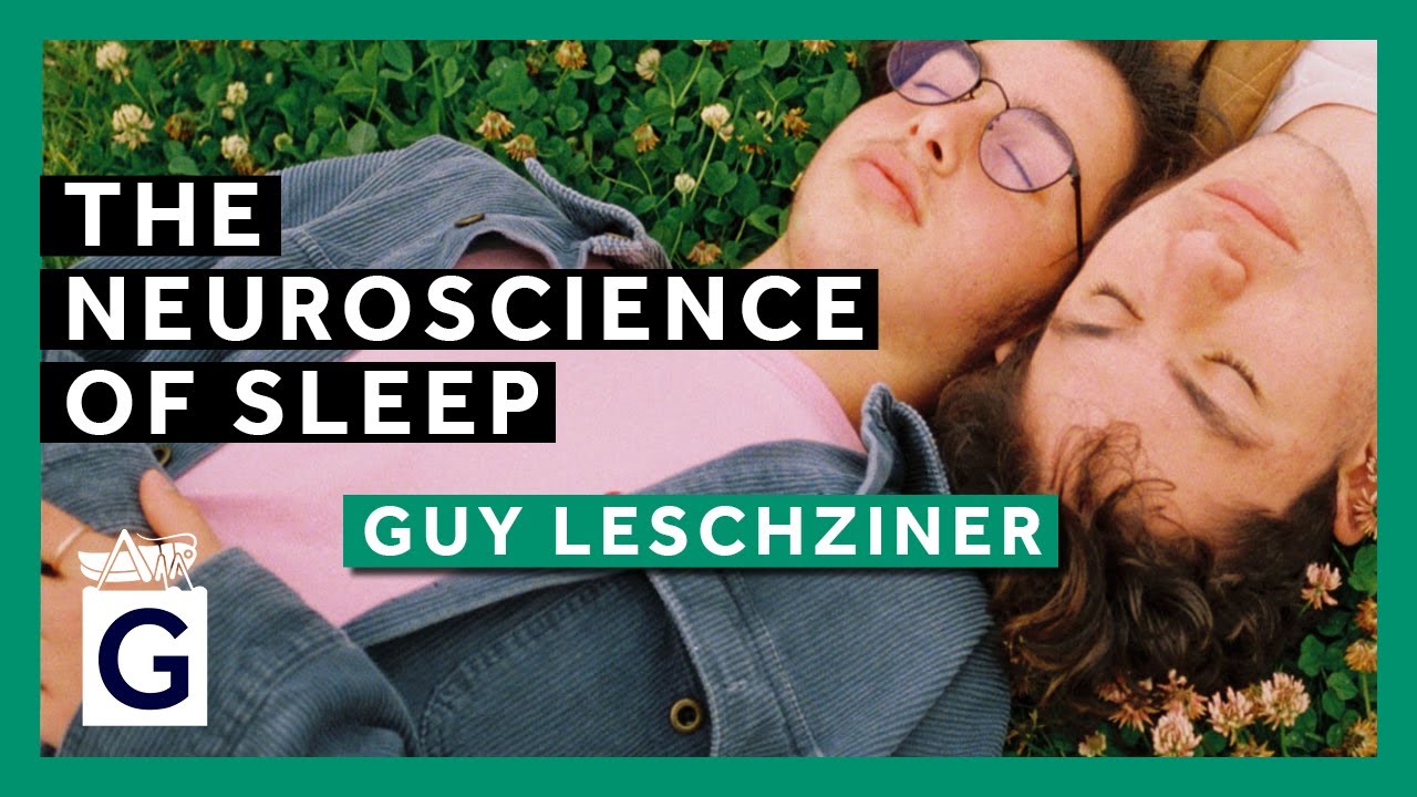 The Neuroscience Of Sleep And Its Disorders - YouTube