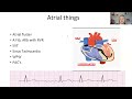 Day 3 of the 3 Day EKG Challenge