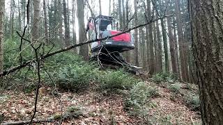 Raupenharvester mit Hangausgleich Neuson 11002 HVT mit Keto 100 LD