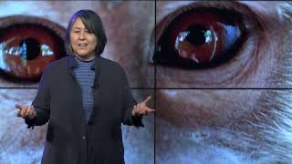 Is Animal Research Justified By Human Supremacy? | Syd Johnson | TEDxSUNYUpstate