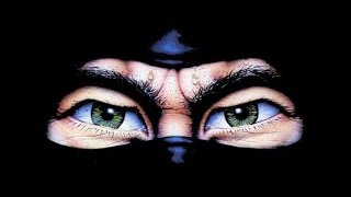 [ HD REMIX ] Last Ninja 1 C64 The Wasteland