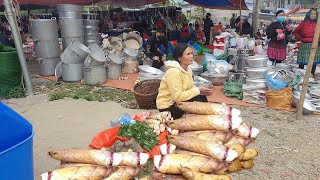 Giant Bitter bamboo shoots bring to the market to sell #shorts #mangdong #hometown @bushcraftfarm-w9g