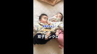 【ショート版】お母さんがやってきたけどすぐにどこかに行ってしまった映像はこちらです #Shorts