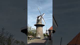 Windmills 🤠👍Netherlands #shorts_video