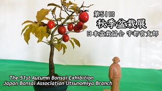 第51回 秋季盆栽展 [日本盆栽協会 宇都宮支部]／Autumn Bonsai Exhibition