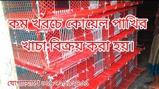 কম খরচে কোয়েল পাখির খাচা বিক্রয় করা হয়।