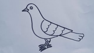How to draw a Pigeon bird//easy drawing step by step// simple bird drawing