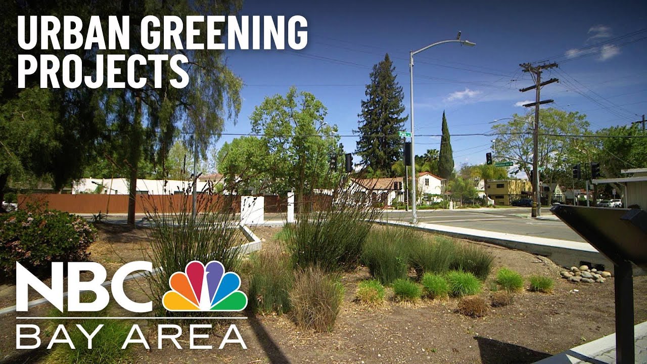 Urban Greening Projects Touted As Communities Prepare For Climate ...