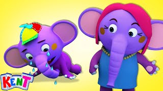 Baby Got Boo Boo 😢 | Nursery Rhymes + Many More Songs | Kent The Elephant