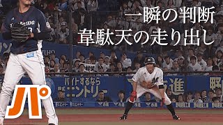 思いませんか？「荻野貴司の盗塁は走り出しが格好いい」