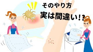 赤ちゃんの皮膚には布団のダニ退治が必須。繁殖させない撃退法