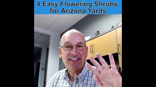 4 Easy Flowering Shrubs for Arizona Yards