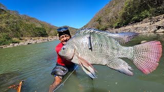 Pesca y cocina tilapia de 5 libras rio torola