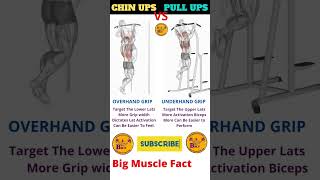 Chin Ups Vs Pull Ups | Chin Ups workout | Pull Ups Workout | #shortsfeed #shorts #bigmusclesfactory