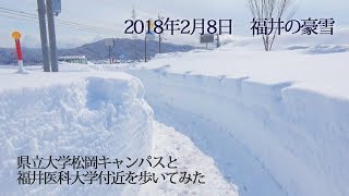 福井３０豪雪　県立大学松岡キャンパスと福井医科大学付近を歩いてみた　2018年2月8日