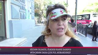 Sizdən olsaydı, hansı sahəyə büdcədən daha çox pul ayırardınız?