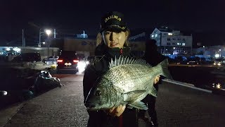 리빙tv형제꽝조사 여조사황보리 갯바위 감성돔4짜급 통영욕지권