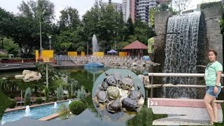 Chai Wan Park Hong Kong | Hong Kong Attractions | polchardz vlog