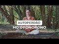 Meditação Ho’oponopono para Autoperdão ✨