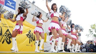 Tigers Girls　ノーカットダンスパフォーマンス