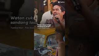 @MAS.IYUN vs PAK. SELAMAT#musik#tambalban#shorts#shortvideo#disubscribe