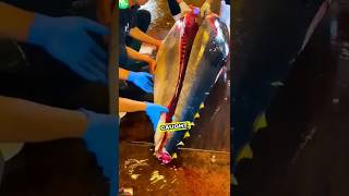 🇯🇵 日本のマグロ愛：クロマグロの刺身にまつわる物語 🍣❤️ #tuna #bluefin #bigfish #viralshort