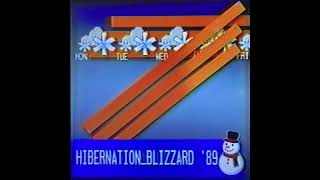 ThePehBat - Hibernation_Blizzard '89 [Signalwave, Broken Transmission, Vaporwave]