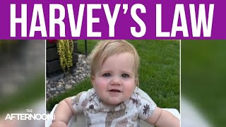 Harvey's parents explain “Harvey’s Law” and what it could mean for Minnesota