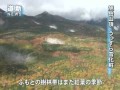 白 うっすらと　大雪山系旭岳で初雪を確認 （2010 09 22）　北海道新聞