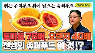 2024 BEST [건달TV] 토마토 76배, 슈퍼푸드 걱(GAC), 천연 항암과일!