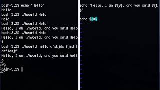 Introduction to Bash Shell Scripting - Conditionals, Loops, Arguments & More!