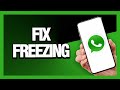 How to Fix Whatsapp Freezing - Android & Ios | Final Solution