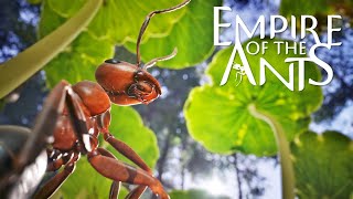 Empire of the Ants: Rival Colonies - Part 5