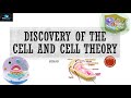 Discovery Of The Cell And Cell Theory