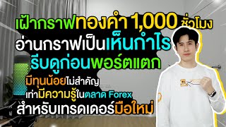 อ่านกราฟเป็นเห็นกำไร มีทุนน้อยไม่สำคัญเท่ามีความรู้ในตลาด Forex