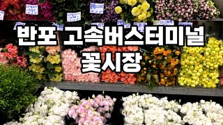 반포 고속버스터미널 꽃시장,생화시장,조화시장,꽃부자재,생화케이크 자료