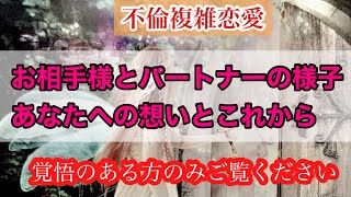 【不倫複雑恋愛】辛口出てしまいました🌶🌶🌶お相手様とパートナーの様子、未来は、、、そしてお相手様のあなたへの想いとこれからについての考え👼