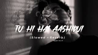 Tu Hi Hai Aashiqui full (slowed and reverb) song  ( lo-fi music ) full screen