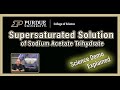 How to make a Supersaturated Solution of Sodium Acetate Trihydrate