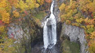 ＜4K-ドローン空撮＞北海道　島牧村　紅葉🍁に彩られた「賀老の滝」