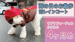 初めてのカッパ【4ヶ月】