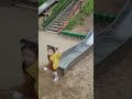 쌍둥이 서울숲공원 서울숲 미끄럼틀 twins slide