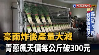 豪雨又遇蟲害 青蔥產量大減「每公斤破300元」－民視台語新聞