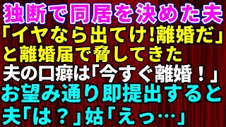 【スカッとする話】マザコン夫が独断で姑との同居を決めて「嫌なら出て行け」と離婚届を出して脅してきた→口癖が「今すぐ離婚だ！」だったのでお望み通り即提出してやった結果【修羅場】