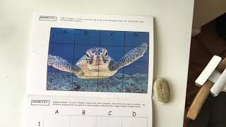 Year 5 - Lesson 3 - Turtle Grid Drawing