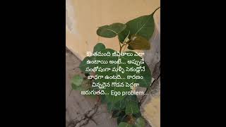 # ఒకరికి Ego problem ఉంటే# ఎదుటి మనిషి క కచ్చితంగా తగ్గాలి#